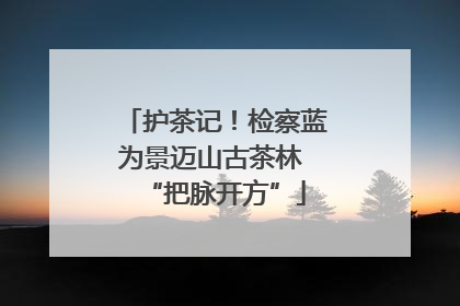 护茶记！检察蓝为景迈山古茶林 “把脉开方”