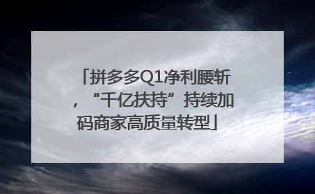 拼多多Q1净利腰斩，“千亿扶持”持续加码商家高质量转型