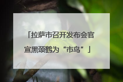 拉萨市召开发布会官宣黑颈鹤为“市鸟”