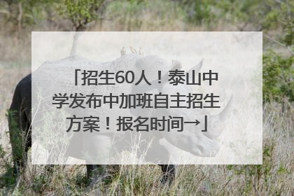 招生60人！泰山中学发布中加班自主招生方案！报名时间→