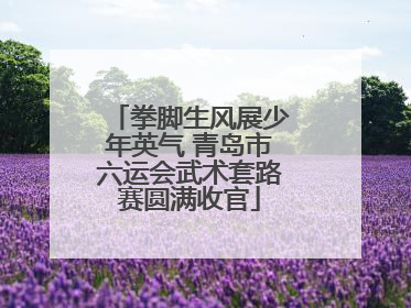 拳脚生风展少年英气 青岛市六运会武术套路赛圆满收官
