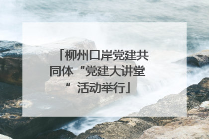 柳州口岸党建共同体“党建大讲堂”活动举行