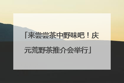 来尝尝茶中野味吧！庆元荒野茶推介会举行