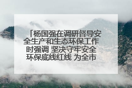 杨国强在调研督导安全生产和生态环保工作时强调 坚决守牢安全环保底线红线 为全市经济社会高质量发展提供坚强保障