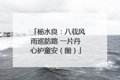 杨水良：八载风雨巡防路 一片丹心护童安（图）