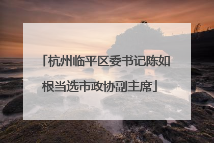 杭州临平区委书记陈如根当选市政协副主席