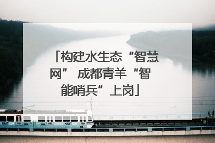 构建水生态“智慧网” 成都青羊“智能哨兵”上岗