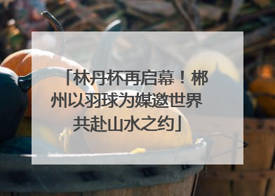 林丹杯再启幕！郴州以羽球为媒邀世界共赴山水之约