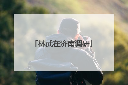 林武在济南调研