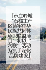 枣庄峄城“石榴主产区铸牢中华民族共同体意识联盟项目”将以“六联”活动为抓手深化品牌建设