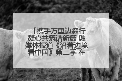 携手万里边疆行 凝心共筑谱新篇 融媒体报道《沿着边境看中国》第二季 在广西东兴正式启动