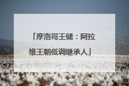 摩洛哥王储：阿拉维王朝低调继承人