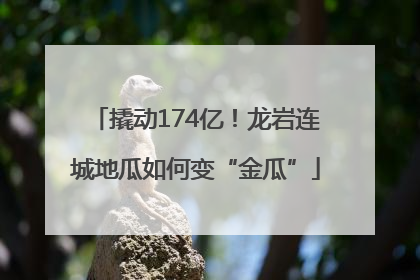 撬动174亿！龙岩连城地瓜如何变“金瓜”