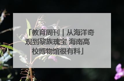 教育周刊｜从海洋奇观到黎族瑰宝 海南高校博物馆很有料