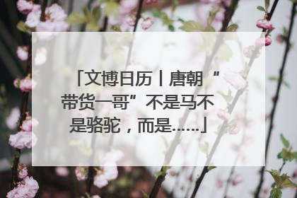 文博日历丨唐朝“带货一哥”不是马不是骆驼，而是……
