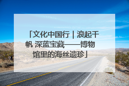 文化中国行｜浪起千帆 深蓝宝藏——博物馆里的海丝遗珍