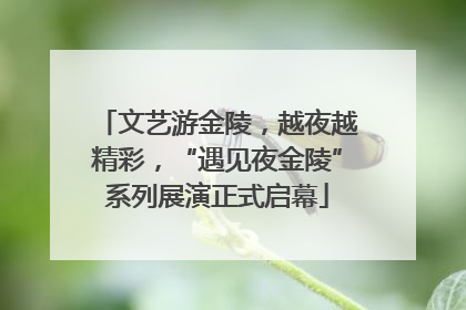 文艺游金陵，越夜越精彩，“遇见夜金陵”系列展演正式启幕