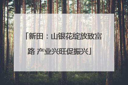 新田：山银花绽放致富路 产业兴旺促振兴