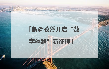 新疆孜然开启“数字丝路”新征程