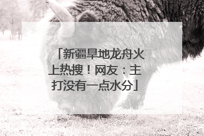 新疆旱地龙舟火上热搜！网友：主打没有一点水分