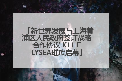 新世界发展与上海黄浦区人民政府签订战略合作协议 K11 ELYSEA璀璨启幕