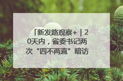 新发路观察+｜20天内，省委书记两次“四不两直”暗访，有何深意？