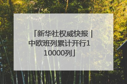 新华社权威快报｜中欧班列累计开行110000列