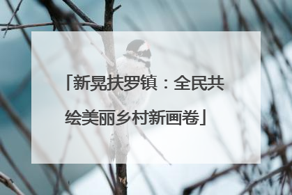 新晃扶罗镇：全民共绘美丽乡村新画卷