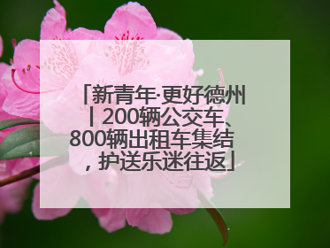 新青年·更好德州丨200辆公交车、800辆出租车集结，护送乐迷往返