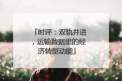 时评：双轨并进，运输数据里的经济转型动能