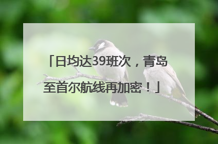 日均达39班次，青岛至首尔航线再加密！