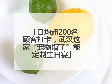 日均超200名顾客打卡，武汉这家“宠物馆子”能定制生日宴
