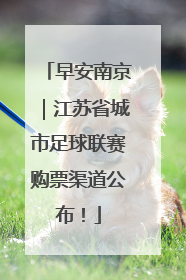 早安南京｜江苏省城市足球联赛购票渠道公布！