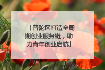 普陀区打造全周期创业服务链，助力青年创业启航