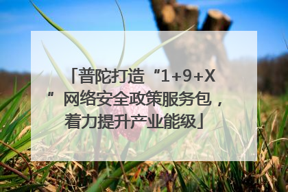 普陀打造“1+9+X”网络安全政策服务包，着力提升产业能级