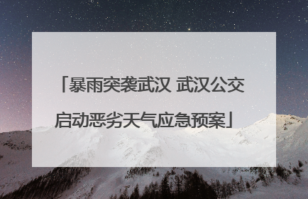 暴雨突袭武汉 武汉公交启动恶劣天气应急预案