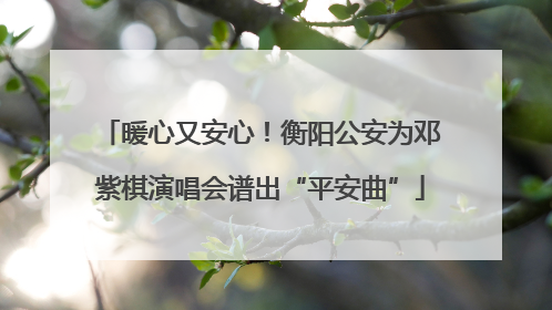 暖心又安心！衡阳公安为邓紫棋演唱会谱出“平安曲”