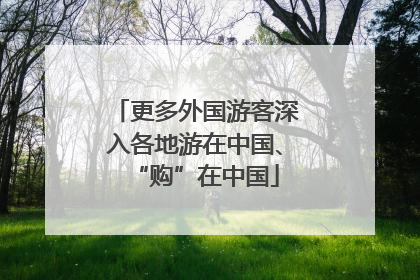 更多外国游客深入各地游在中国、“购”在中国