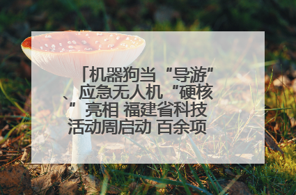 机器狗当“导游”、应急无人机“硬核”亮相 福建省科技活动周启动 百余项特色活动酷炫来袭