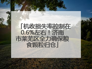 机收损失率控制在0.6%左右！济南市莱芜区全力确保粮食颗粒归仓