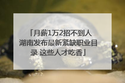 月薪1万2招不到人 湖南发布最新紧缺职业目录 这些人才吃香