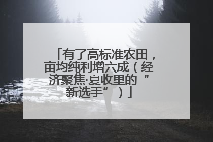 有了高标准农田，亩均纯利增六成（经济聚焦·夏收里的“新选手”）