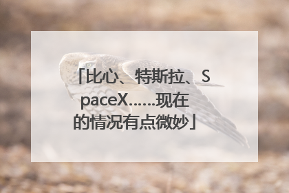 比心、特斯拉、SpaceX……现在的情况有点微妙