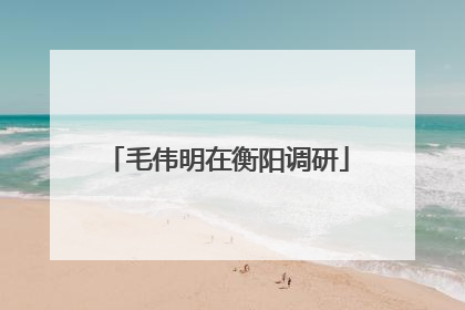 毛伟明在衡阳调研