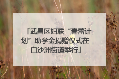 武昌区妇联“春蕾计划”助学金捐赠仪式在白沙洲街道举行