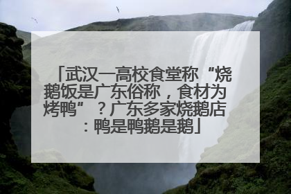 武汉一高校食堂称“烧鹅饭是广东俗称，食材为烤鸭”？广东多家烧鹅店：鸭是鸭鹅是鹅