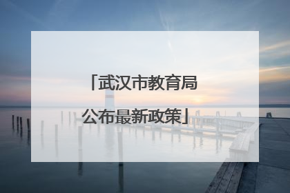 武汉市教育局公布最新政策