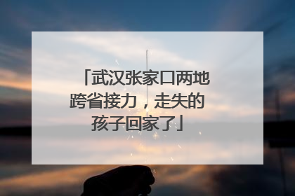 武汉张家口两地跨省接力，走失的孩子回家了