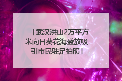 武汉洪山2万平方米向日葵花海盛放吸引市民驻足拍照