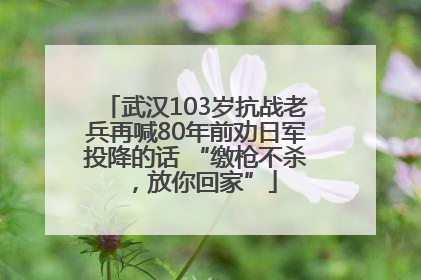 武汉103岁抗战老兵再喊80年前劝日军投降的话 “缴枪不杀，放你回家”